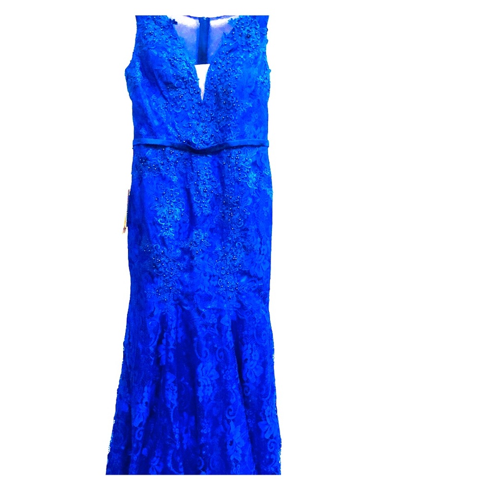 Royal Blue, Lace Ball Gown